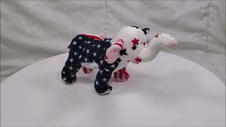 Ty Beanie Baby Righty 2000 Elephant Patriotic [upl. by Azil]