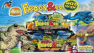 FROGS amp CO MAXXI EDITION  2x DISPLAY BOX 32 BOOSTER PACKS  DEAGOSTINI [upl. by Shafer]