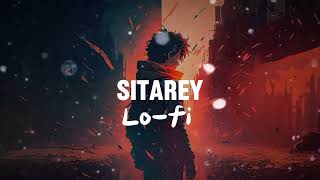 Sitarey  Tigerstyle Feat  Jaz Dhami  Slowed x Reverb Lofi song [upl. by Acisey]