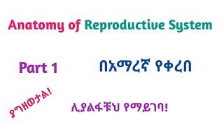 Anatomy of Reproductive System Part 1 Interesting Video with Amharic Speech [upl. by Yarrum]