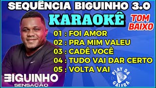 KARAOKÊ  SEQUÊNCIA BIGUINHO SENSAÇÃO 5 playbacks com letra  TOM BAIXO [upl. by Behrens]