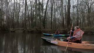 Congaree National Park 3124 [upl. by Onfre351]