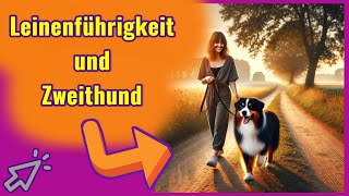 Leinenführigkeit und Mehrhundehaltung 😱 SO GEHTS auch bei deinem Hund 💪🐶💕🐶👍 [upl. by Richia]