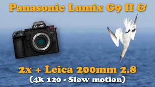 Minganie  Panasonic Lumix G9II  Slowmotion 4k120 [upl. by Ynnattirb37]