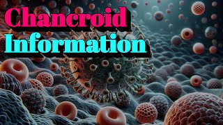 Chancroid Information 🔬Tier4 Infectious Disease [upl. by Adnoral]