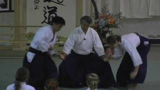 ikeda Aikido Summer Camp in the Rockies 2007 [upl. by Okechuku]