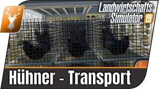 LS19 Modvorstellung  Hühner kaufen und transportieren  Livestock Trailer Addon  LS19 Mods [upl. by Amie739]