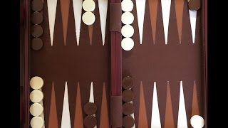 How To Play Backgammon [upl. by Elsie45]