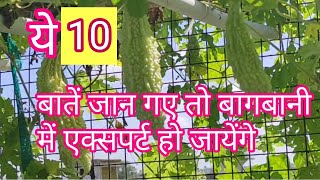 10 important tips for terrace garden [upl. by Yelrehs943]