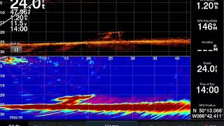 Livescope vs Panoptix [upl. by Auot]