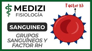 Clase 35 Fisiología Sanguínea  Grupos sanguíneos y Factor Rh IGdoctorpaiva [upl. by Dijam]