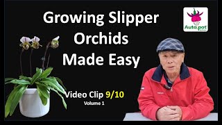 Episode 88  9 Growing Slipper Orchids Made Easy Volume 1 clip 9 [upl. by Annmaria]