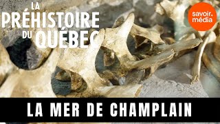 La mer de Champlain  La préhistoire du Québec [upl. by Parnas]