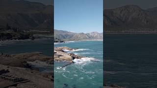 hermanus south africa Whale watching [upl. by Nyad]