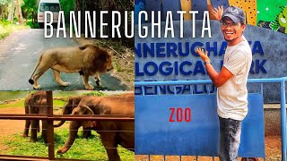 A Day at Bannerghatta National Park  Unforgettable Safari amp Nature Trails BannerghattaNationalPark [upl. by Divd314]