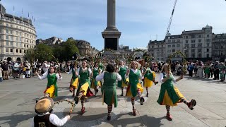 Westminster Morris Dancers Day of Dance trafalgarsquare [upl. by Erfert6]