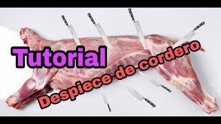 Tutorial Despiece de cordero lamb process [upl. by Notlrak]