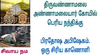 திருவண்ணாமலை அண்ணாமலையார்கோயில் பெரிய நந்திக்கு பிரதோஷ அபிஷேகம் ஒரு சிரிய காணொளிசிவாய நம [upl. by Aitahs]