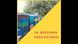 apicoltura 2021 la gestione degli apiari [upl. by Nairolf]