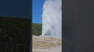 Old faithful geyser erupts in yellowstone national park during our family road trip out west nature [upl. by Darlene]