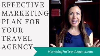 Travel Agency Marketing Plan Template [upl. by Thalia537]