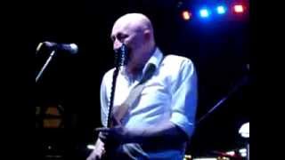 David Wilcox  Do the Bearcat [upl. by Ellora891]