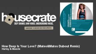 Harley amp Muscle  How Deep Is Your Love  Mateo amp Matos Dubout Remix  HouseCrate [upl. by Harrington845]