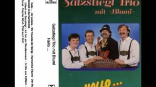 Salzstiegl Trio mit Blumi  Wir freunde der berge [upl. by Akimal213]