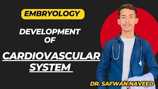 Cardiovascular system development  Primary and Secondary heart fields  Embryology [upl. by Jenesia]