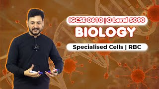 IGCSE 0610 OLevel 5090  Biology  Specialised Cells  RBC [upl. by Aisauqal]