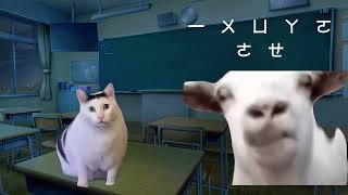 【猫ミーム】台湾華語の勉強を始めた日本人あるある？ 猫マニ 猫ミーム [upl. by Emili]