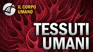 Tessuti Umani  Il Corpo Umano [upl. by Osicran]