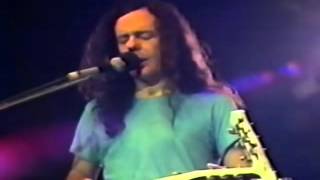 David Lindley Mercury Blues 480p [upl. by Janerich]