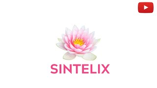 Sintelix The Text Intelligence Solution [upl. by Attiuqihc575]