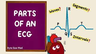 Parts of an ECG  EKG Basics  Waves Segments Intervals  Cardiac Physiology [upl. by Nohsram609]