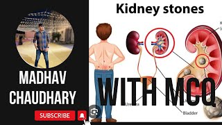 URINARY SYSTEM LECTURE3 NEPHROLITHIASISKIDNEY STONE WITH ALL MCQmadhavchaudhary kidney youtube [upl. by Aneeuqal]