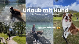 Ist das DER SCHÖNSTE SEE in Deutschland 😍 KURZTRIP mit Hund📍Vlog [upl. by Chapin]