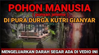 POHON MANUSIA [upl. by Wahs]