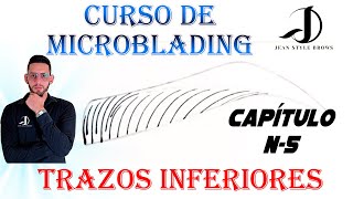 Curso Trazos de Microblading ✍ TUTORIAL Paso a Paso Trazos Inferiores y Conectores Capitulo 5 [upl. by Ciredor754]