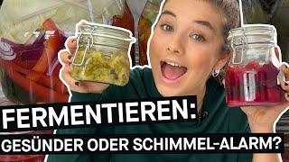 Fermentieren Gesünderes Essen oder SchimmelAlarm  Selbstversuch  PULS Reportage [upl. by Rebbecca153]