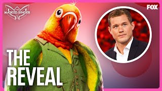 The Reveal Colton Underwood is Lovebird  Season 11  The Masked Singer [upl. by Ttegirb]