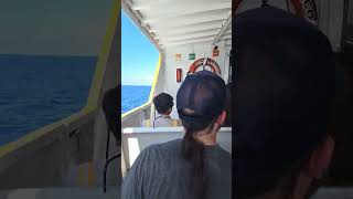 Cozumel ferry live music mexico royalcaribbean [upl. by Aliet151]