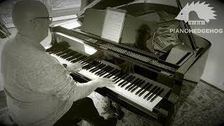 Muse  Undisclosed Desires Piano Interpretation Cover  Piano Hedgehog [upl. by Devad]