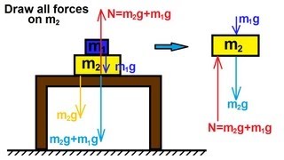 Newtons Third Law of Motion by Professor Mac [upl. by Nylirac]