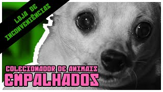 COLECIONADOR DE ANIMAIS EMPALHADOS [upl. by Wilterdink]