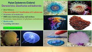 Characteristics and classification of phylum Coelenterata 🪼II Dr Seema [upl. by Nan707]