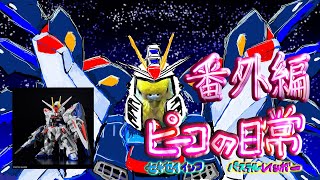 ピーコの日常〜番外編〜MGSDフリーダムガンダム開封編 [upl. by Elleneg]