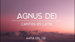 Agnus Dei Lyric Video  Katia del Cid  MÚSICA CATÓLICA [upl. by Atinra]