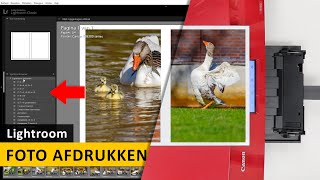 Lightroom Classic  Foto afdrukken en printinstellingen Dutch [upl. by Otipaga98]