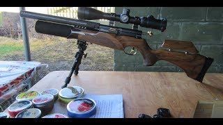 The John Bowkett blue print tuned BSA R10 SE 22 rifle 151217 [upl. by Nayrbo]